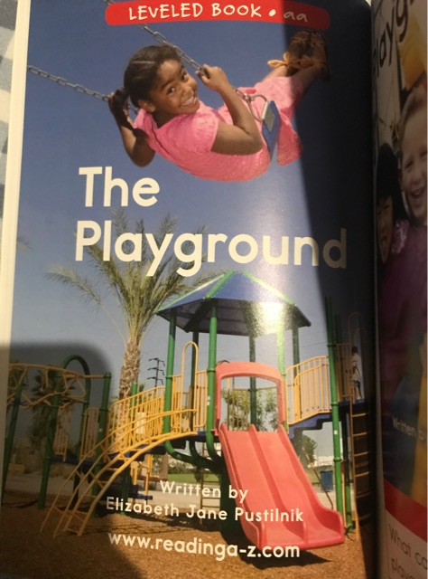 The  playground