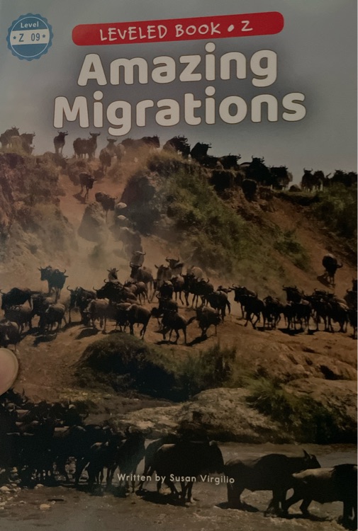 amazing migrations