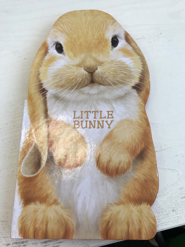 Little Bunny