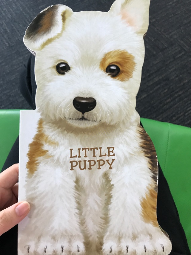 Little Puppy