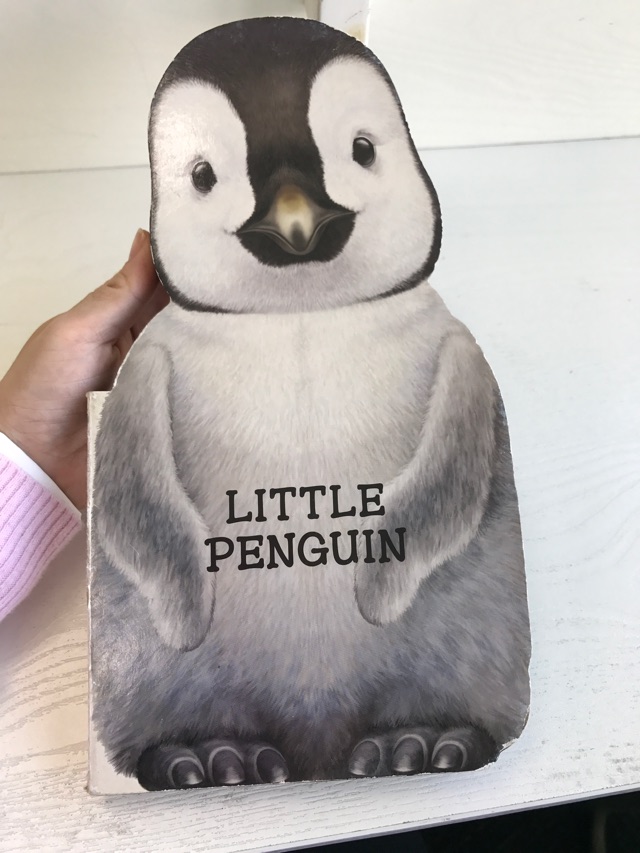Little Penguin