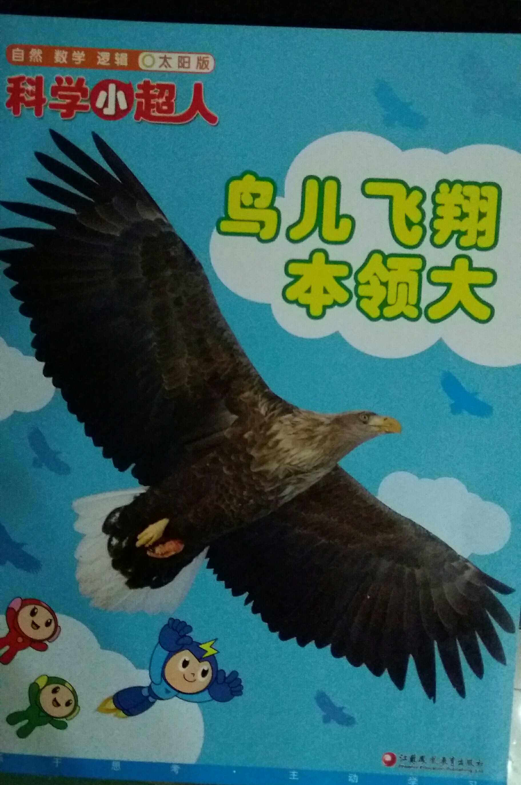 鳥兒飛翔本領大