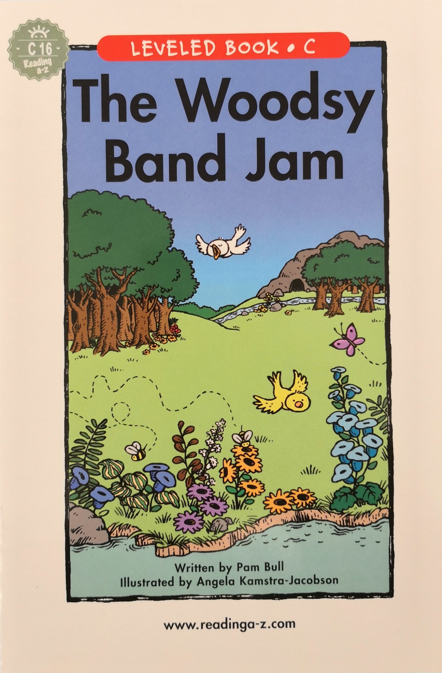 C16 The Woodsy Band Jam