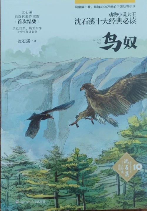 鳥奴