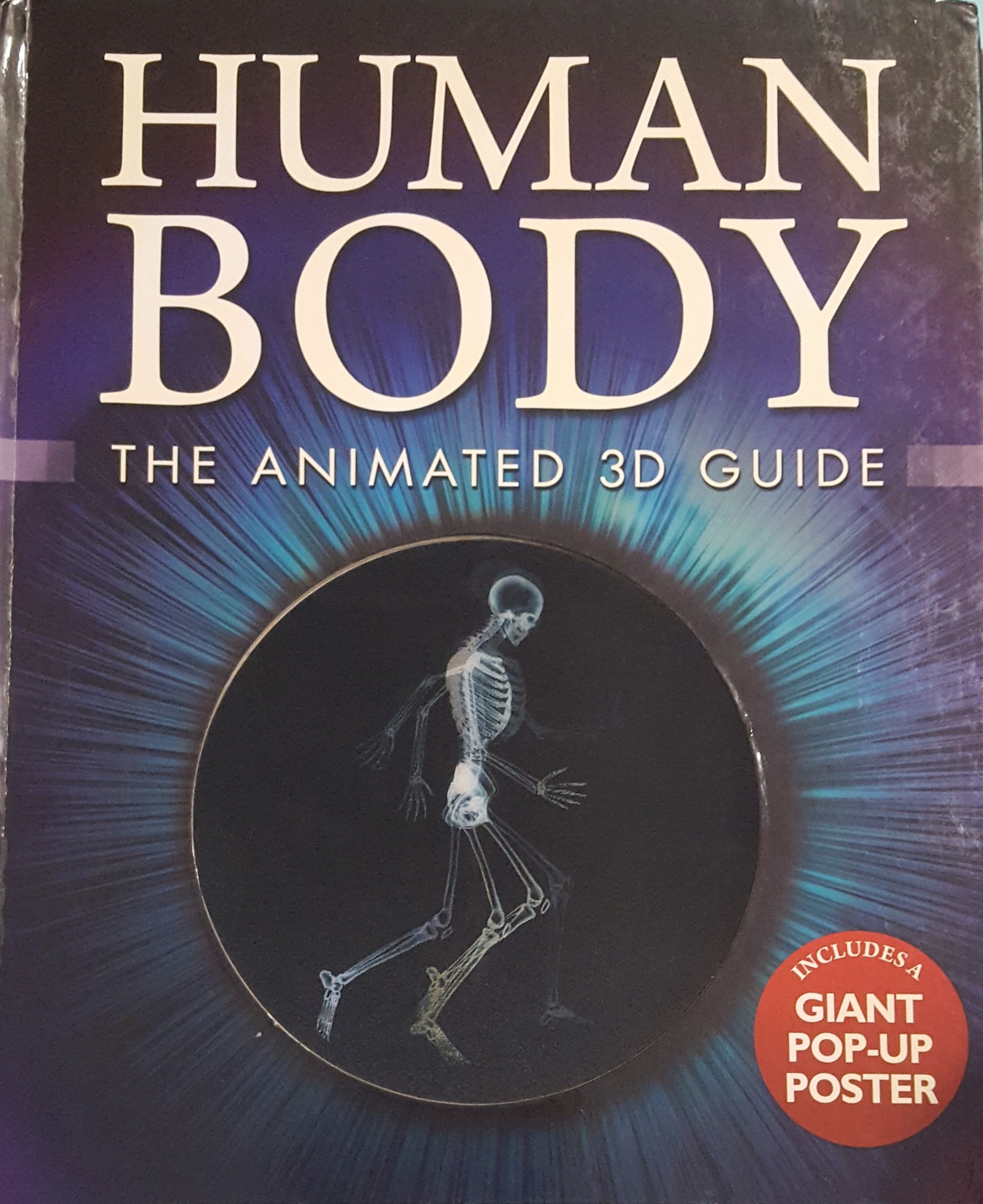 HUMAN BODY