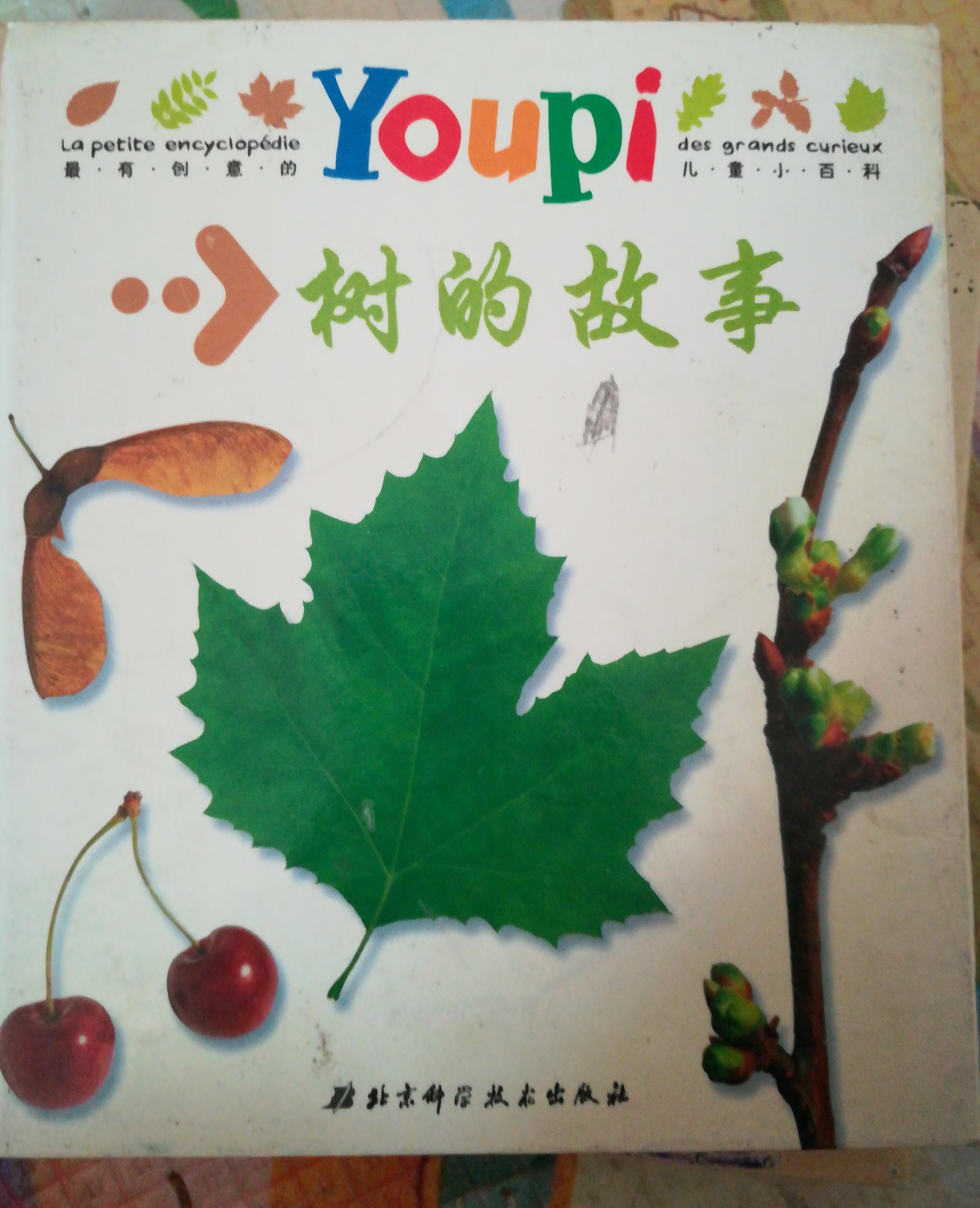 樹的故事