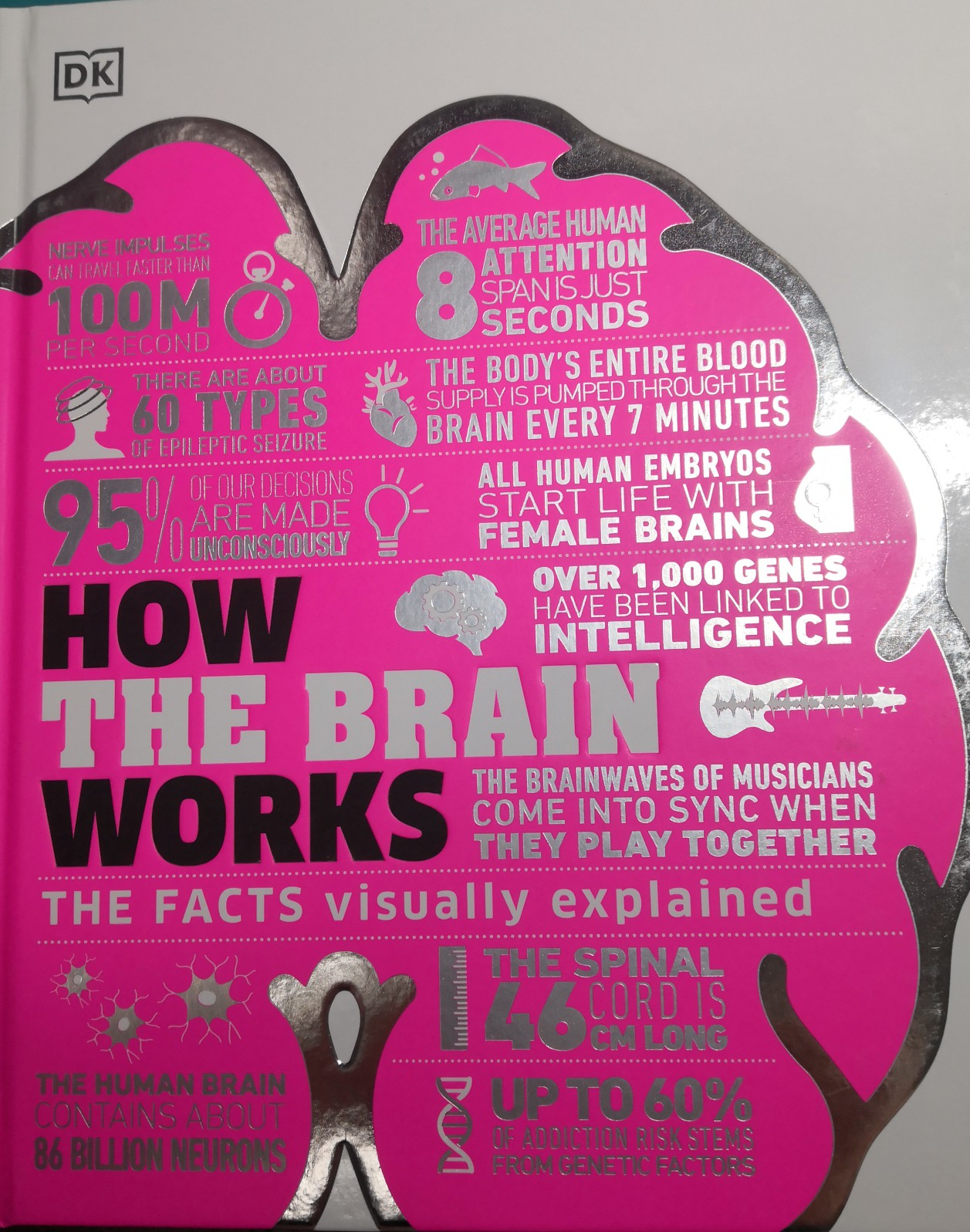 How The Brain Works