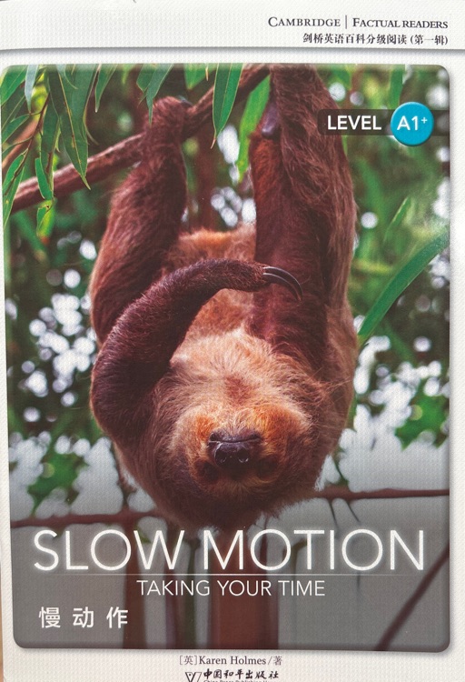 SLOW MOTION
