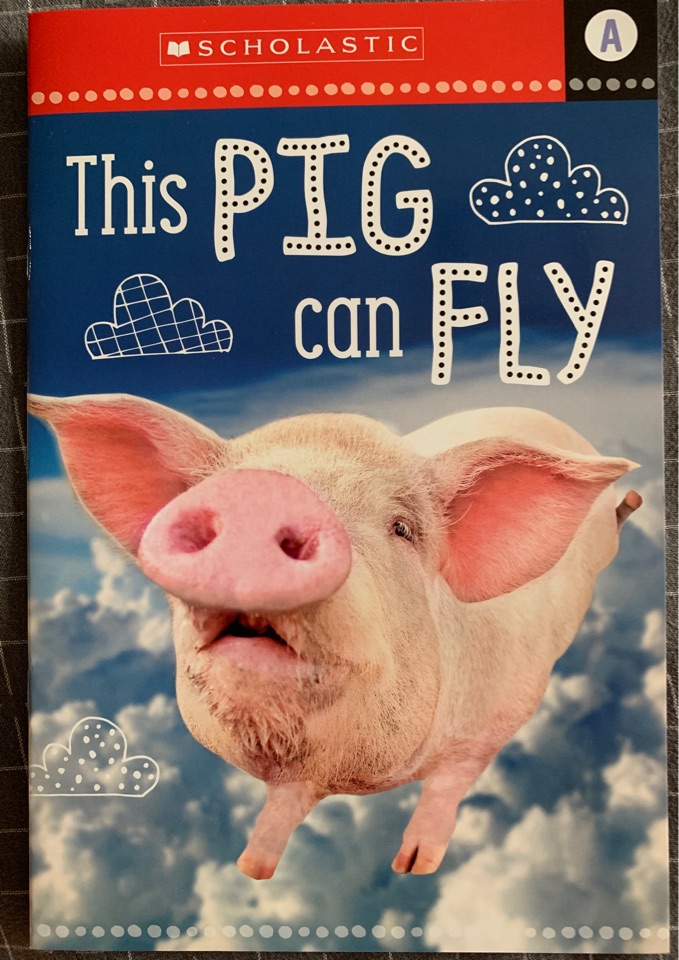 This pig can fly