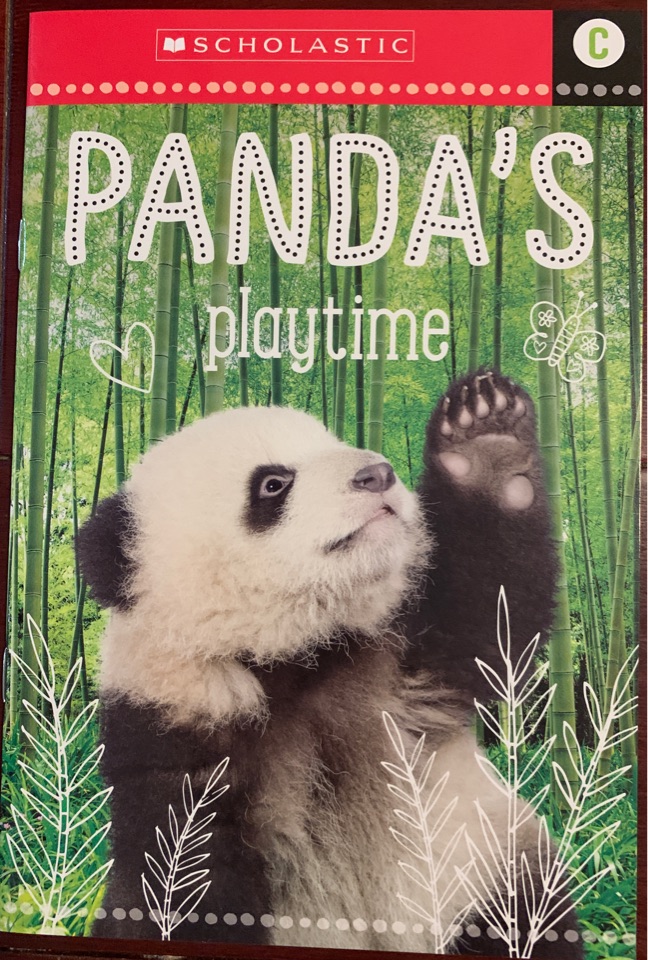 PANDA'S playtime