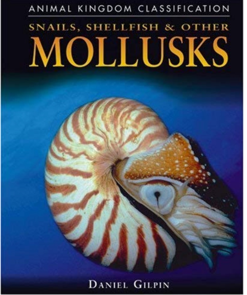 Snails, Shellfish, and Other Mollusks