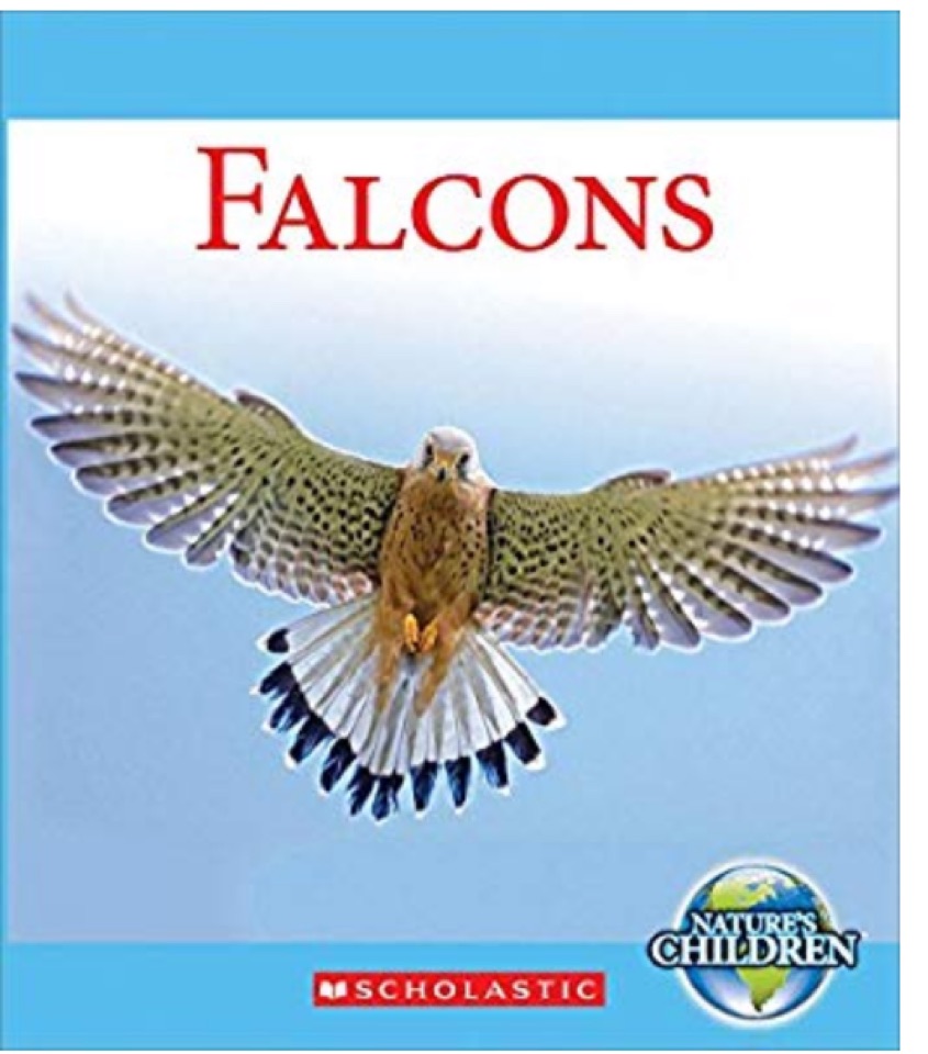 Falcons (Nature's Children)