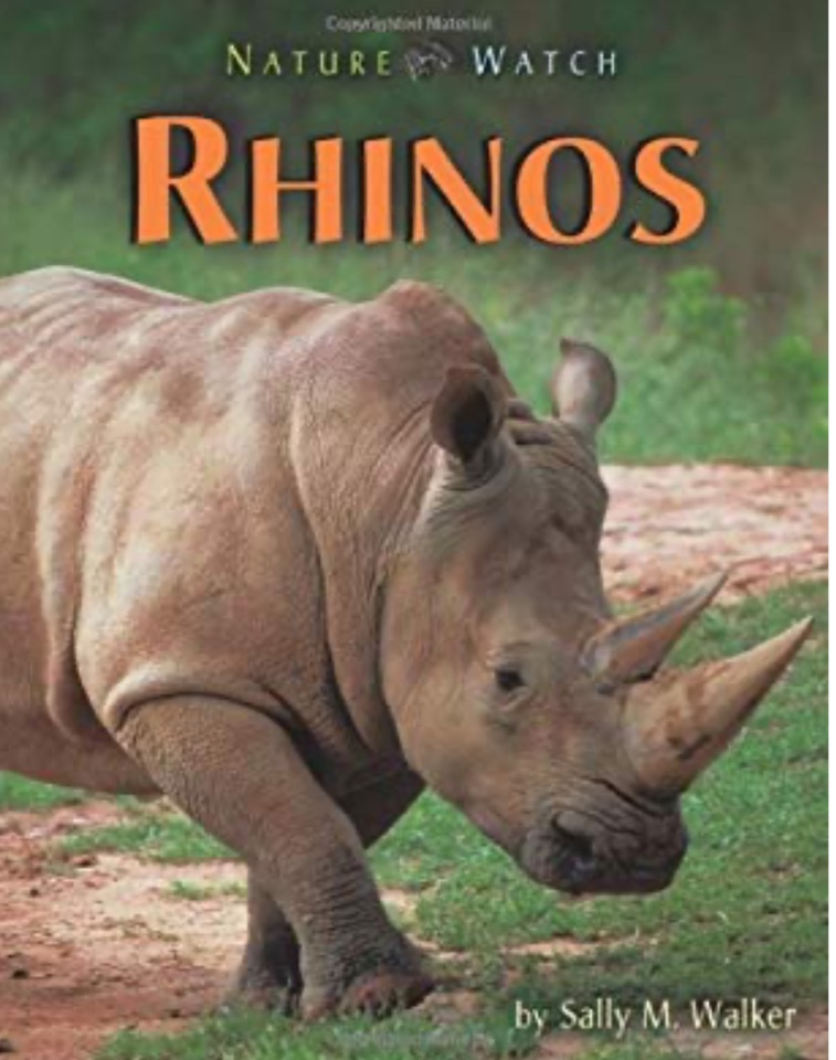 Rhinos (Nature Watch)