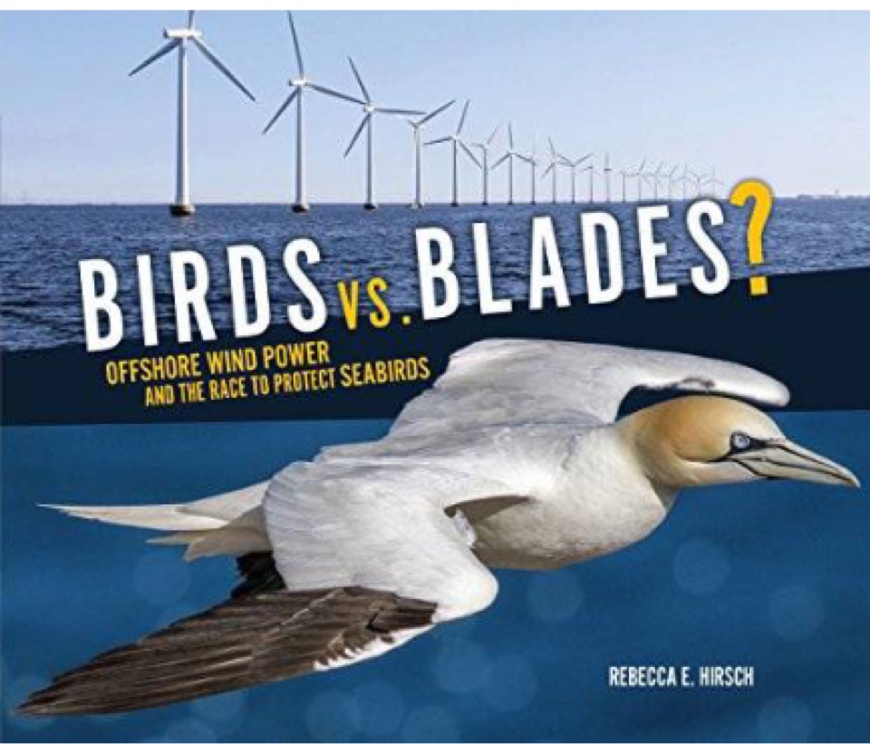 Birds vs. Blades?: Offshore Wind Power and the Race to Protect Seabirds