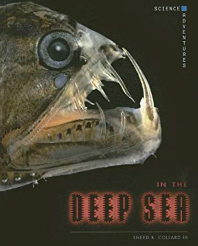 In the Deep Sea (Science Adventures)