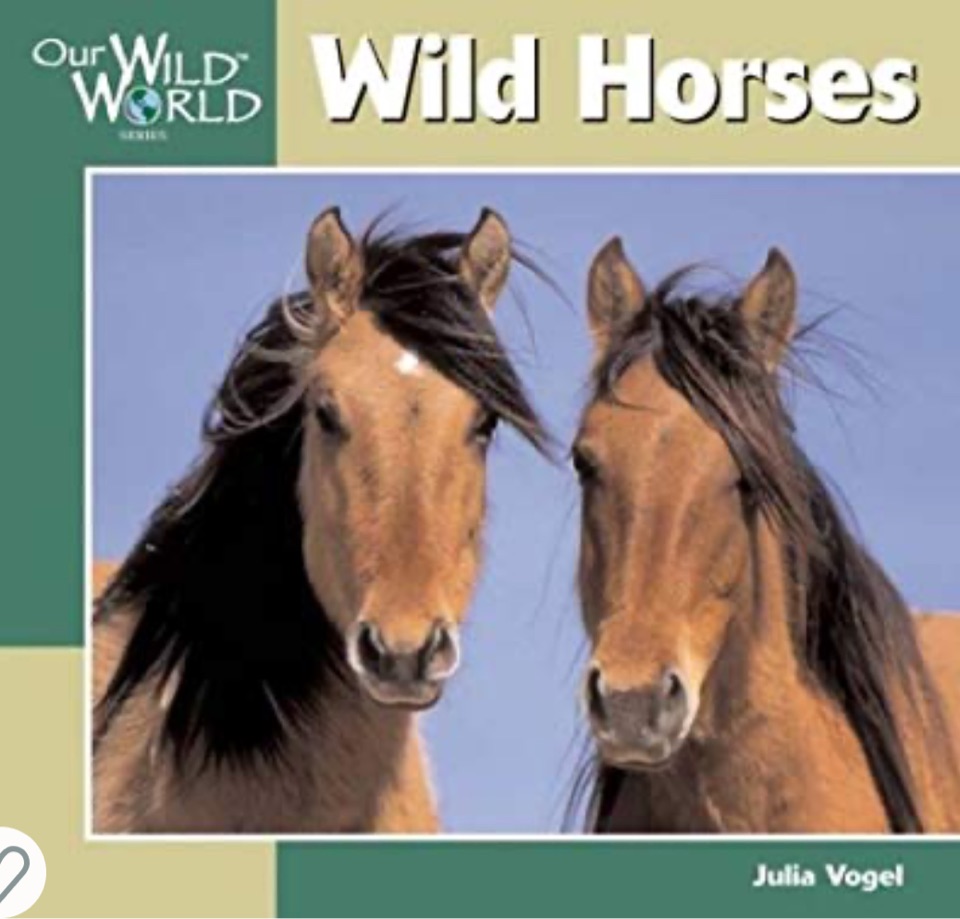 Wild Horses (Our Wild World)