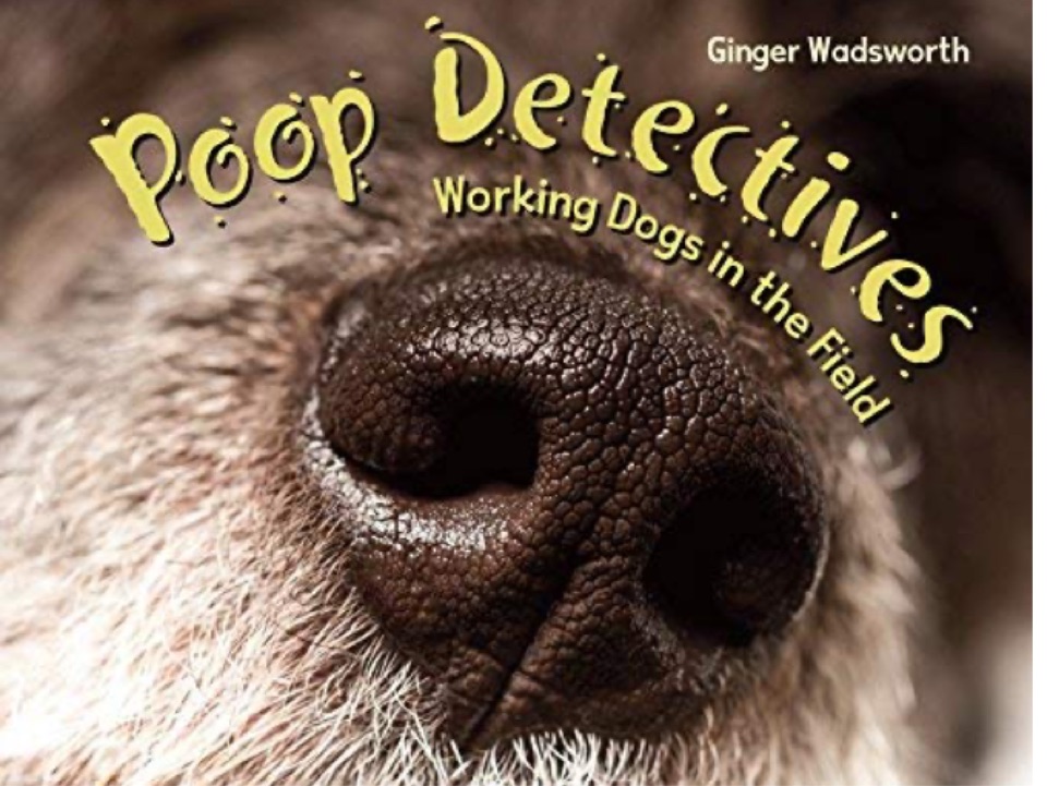 Poop Detectives: Working Dogs in the Field