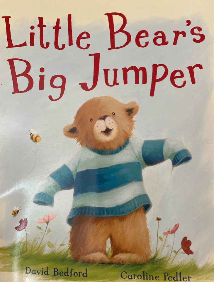 Little Bear's Big Jumper