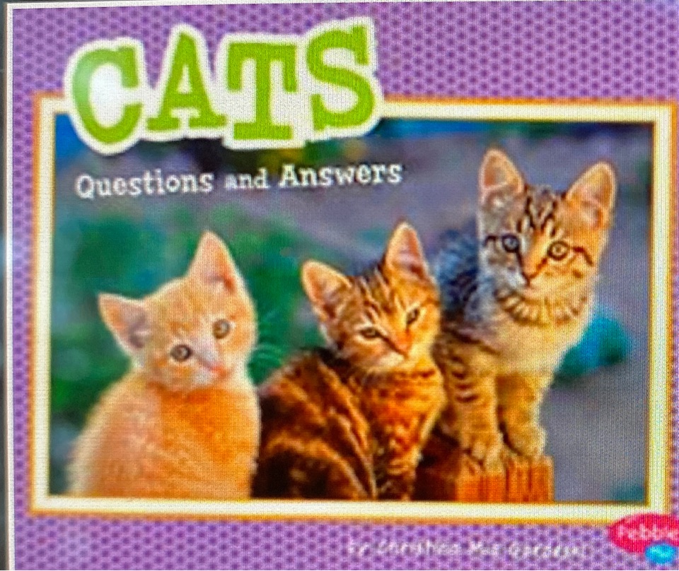 cats: questions and answers