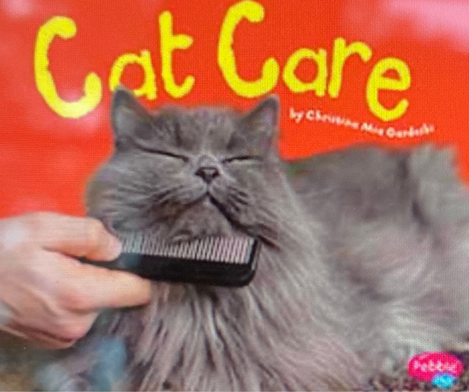 cat care