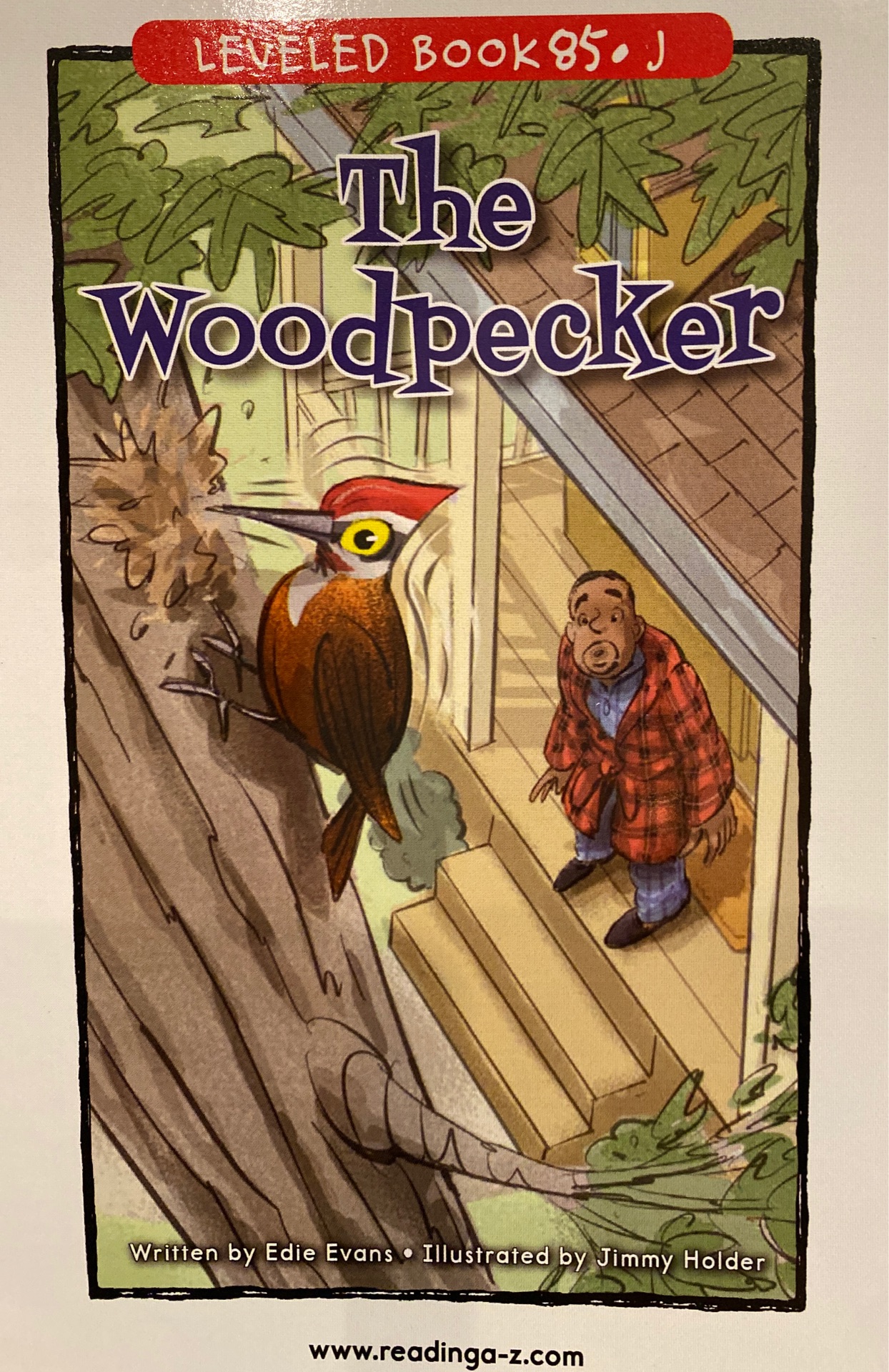 the woodpecker