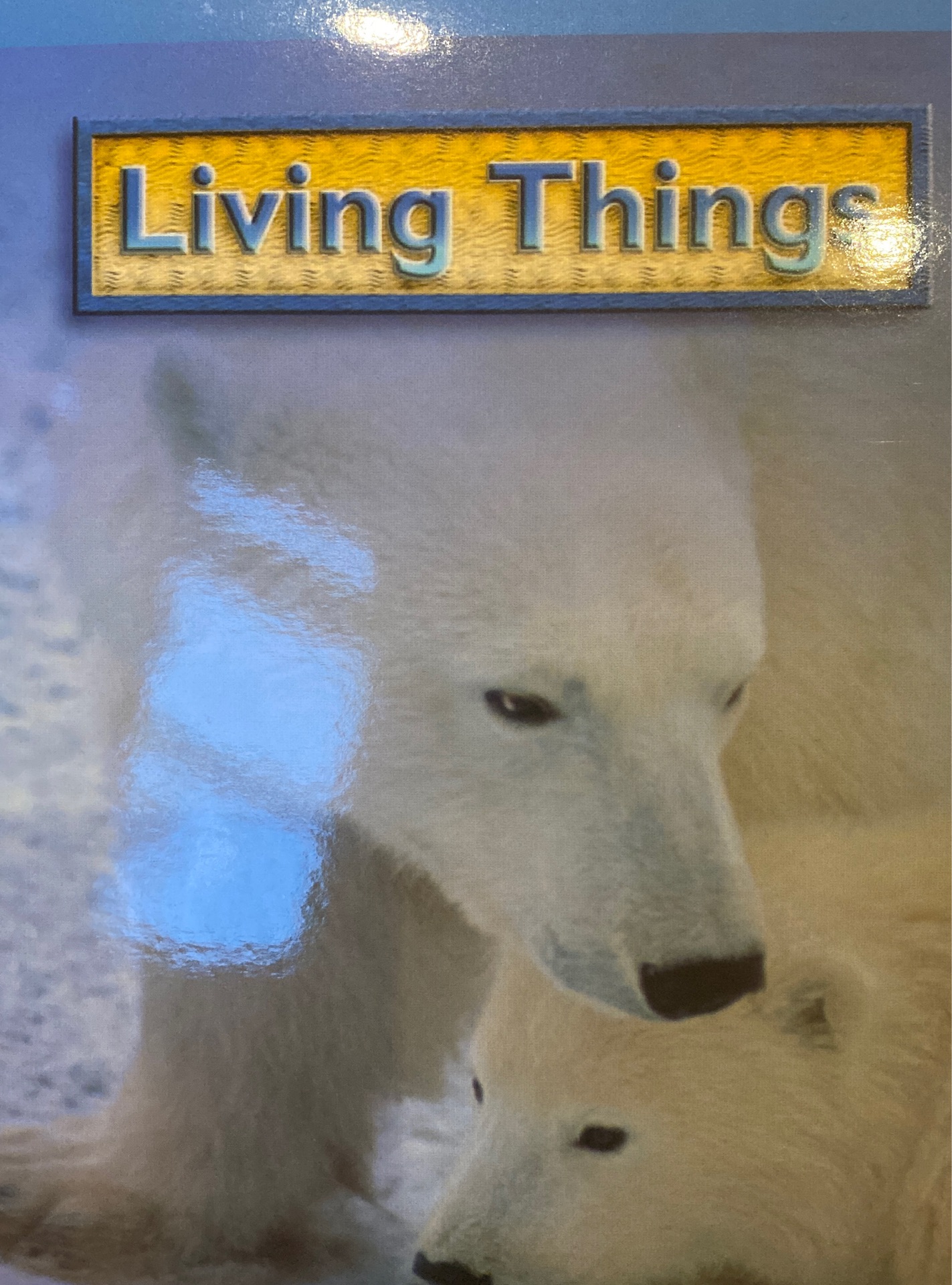 Living Things