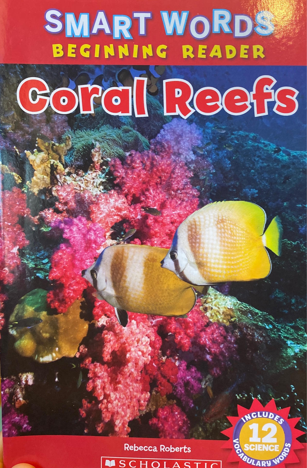 Coral reefs