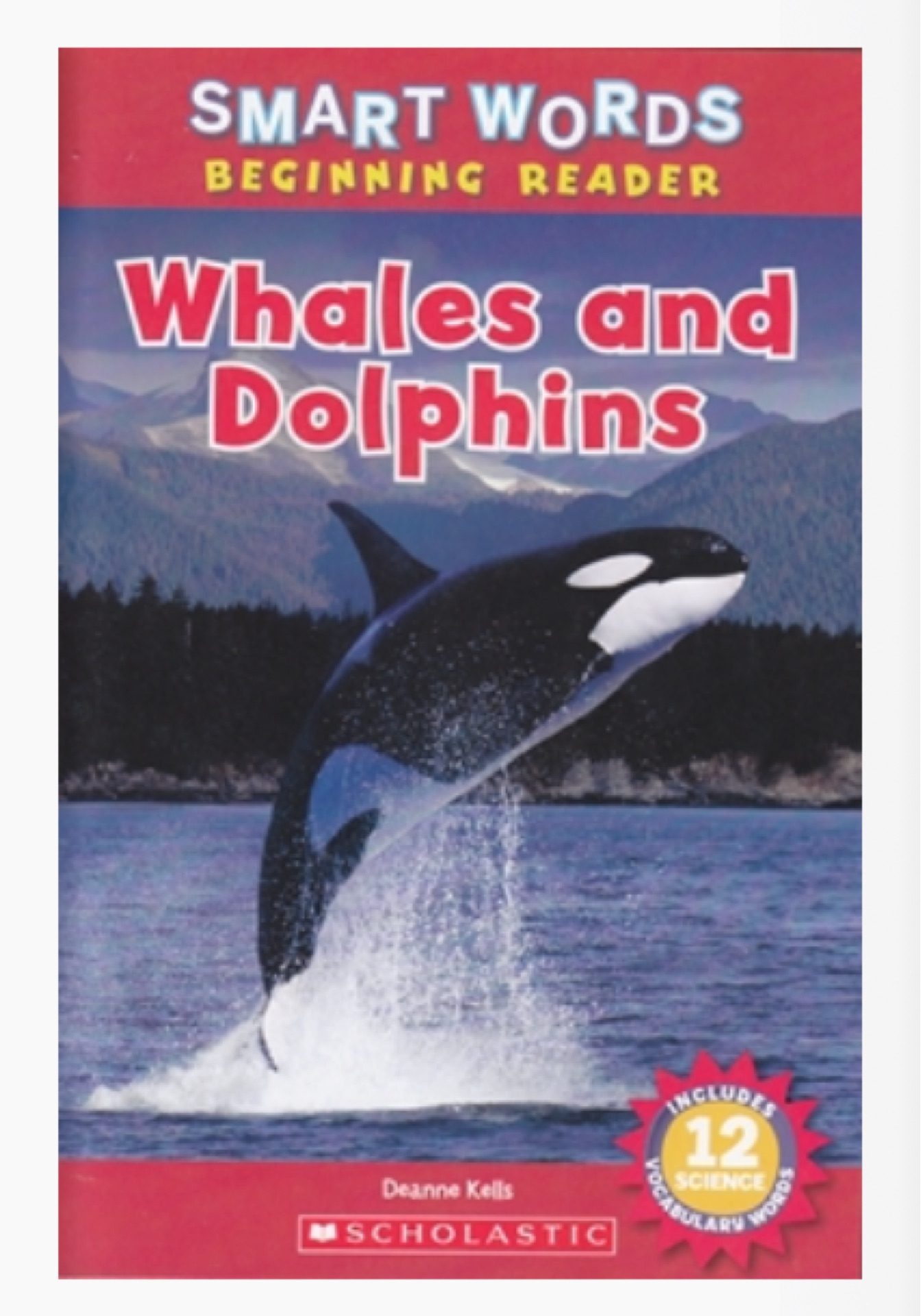 whales and dolphins