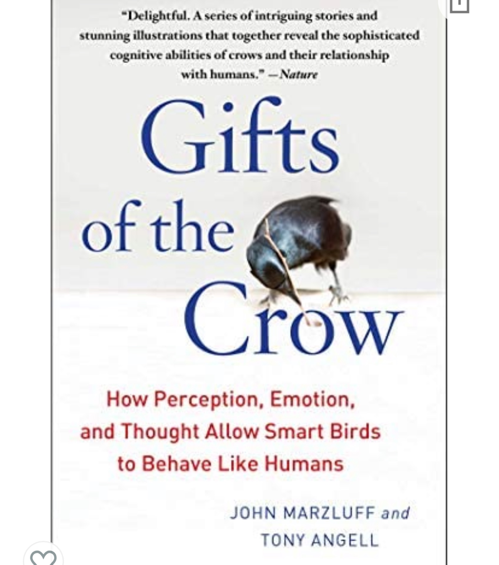Gifts of the Crow: How Perception, Emotion, and Thought Allow Smart Birds to Behave Like Humans