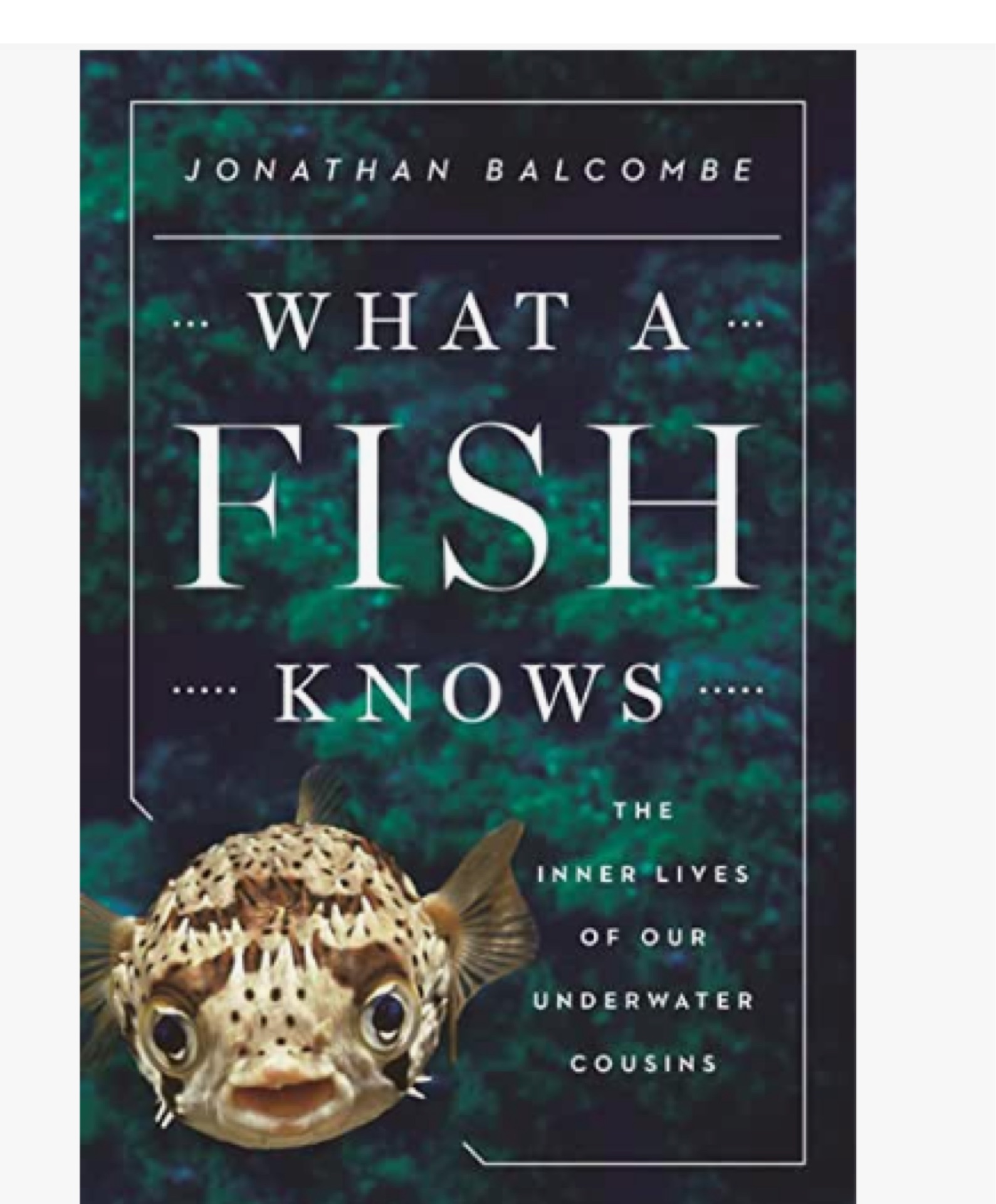 What a Fish Knows: The Inner Lives of Our Underwater Cousins