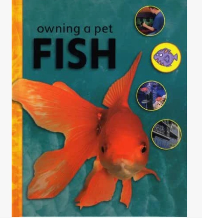 owning a pet fish