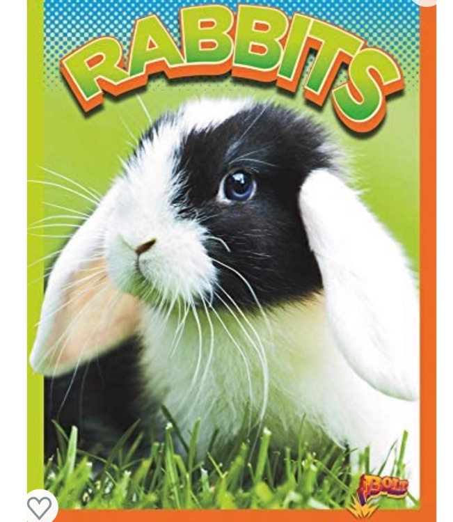 Rabbits (Wild Animal Kingdom)