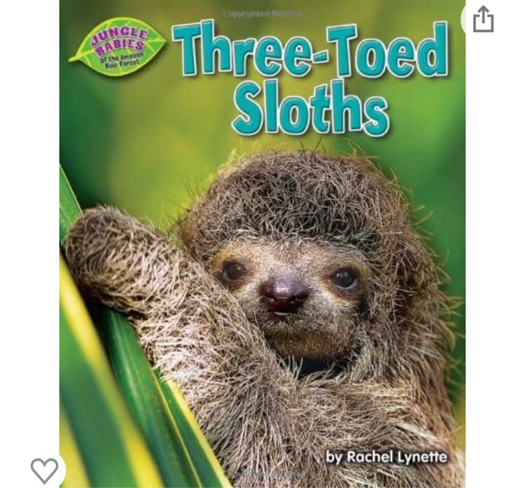 Three-Toed Sloths (Jungle Babies of the Amazon Rain Forest)