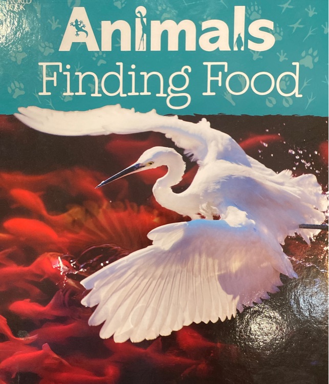 Animals finding food