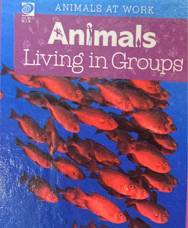 Animals living in groups