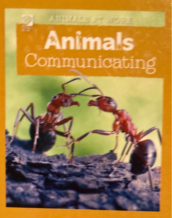 Animals communicating