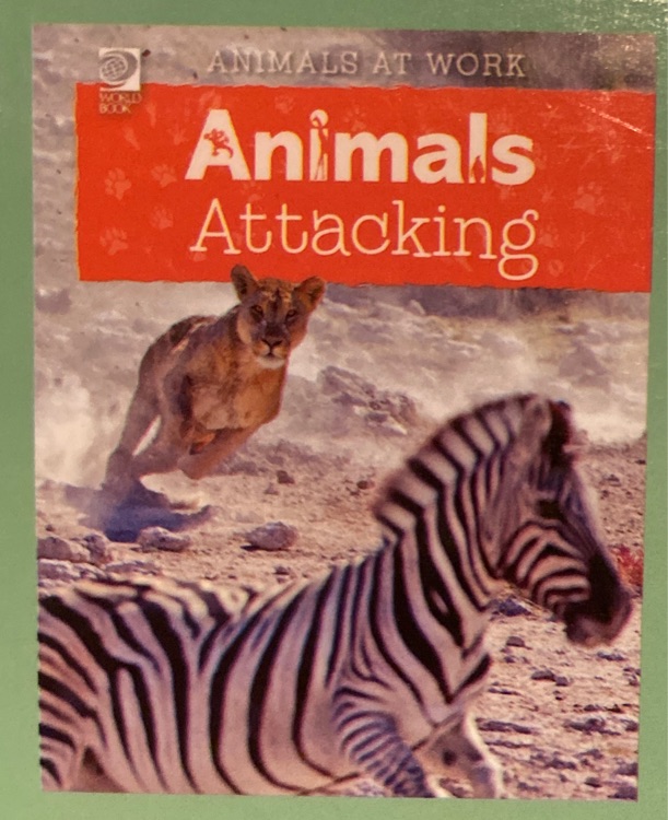 Animals attacking