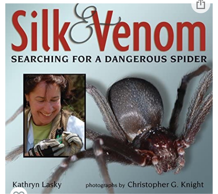 Silk and Venom: Searching for a Dangerous Spider