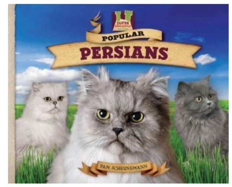 Popular Persians (Cat Craze)