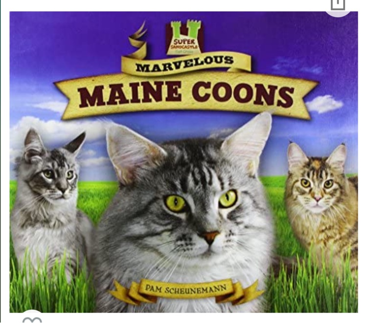 Marvelous Maine Coons (Cat Craze)