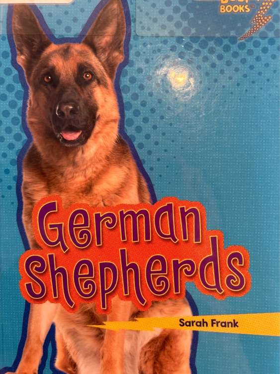 german shepherds