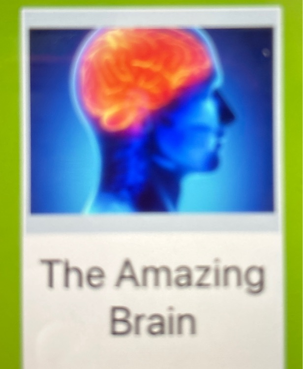 amazing brain z1