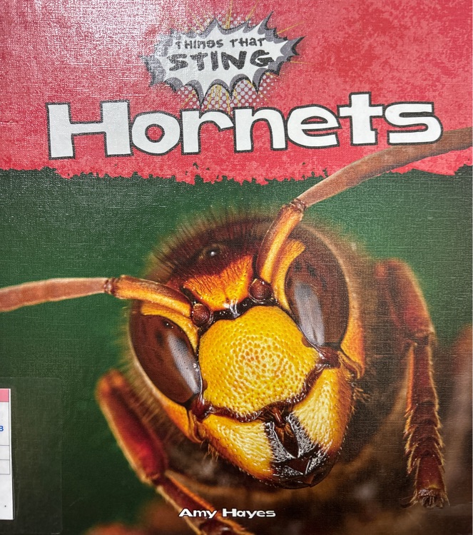 hornets