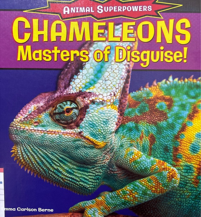 chameleons masters of disguise