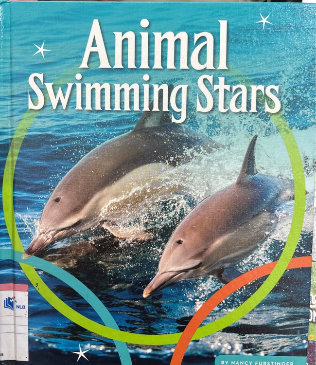 animal swimming stars