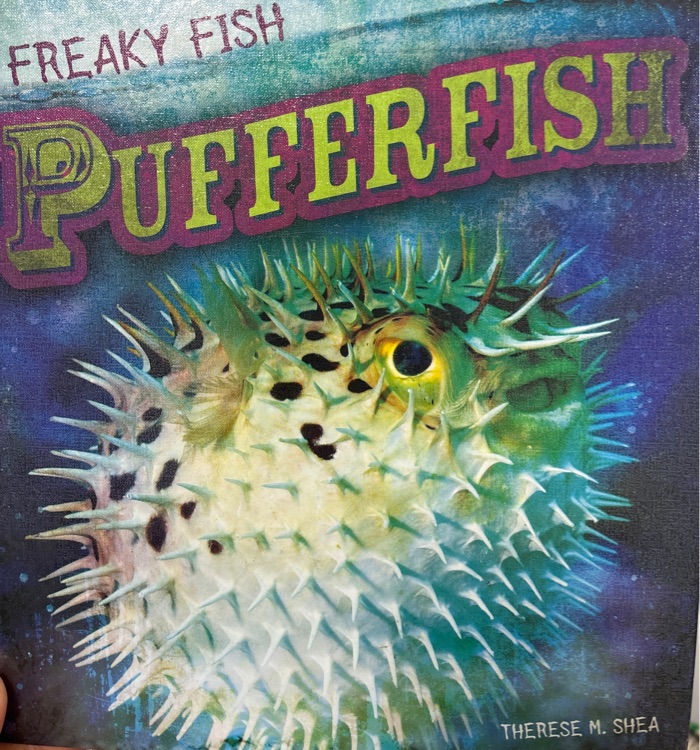 puffer fish