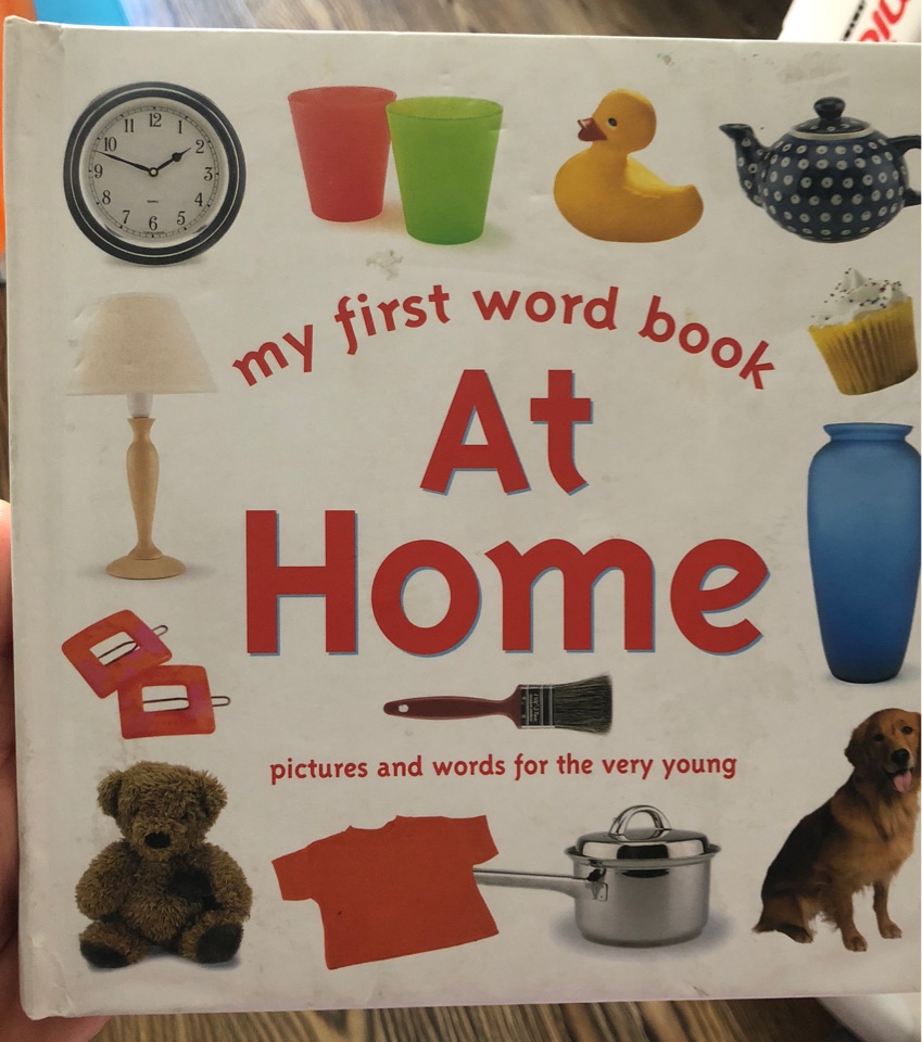 my first word book at home