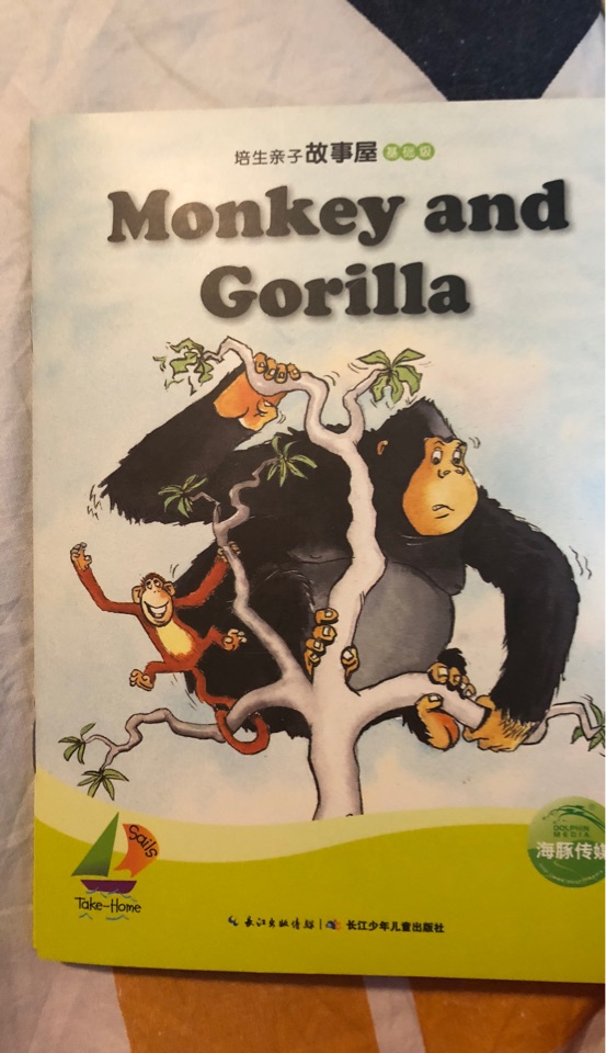 Monkey and gorilla