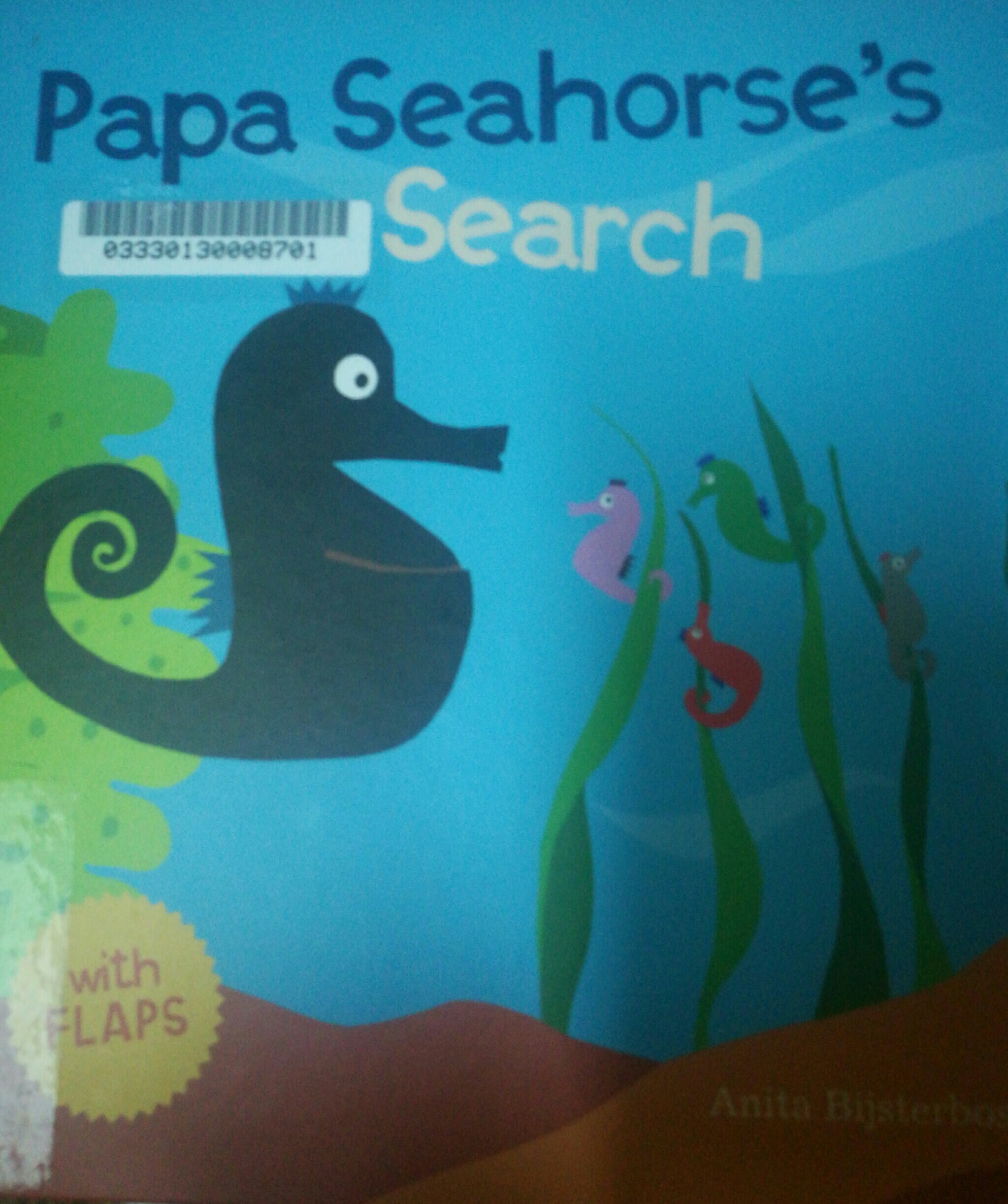 papa seahorse's search