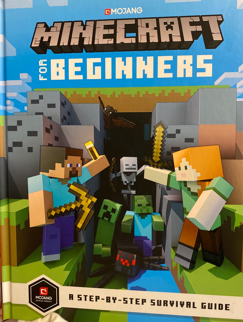 Minecraft for beginners